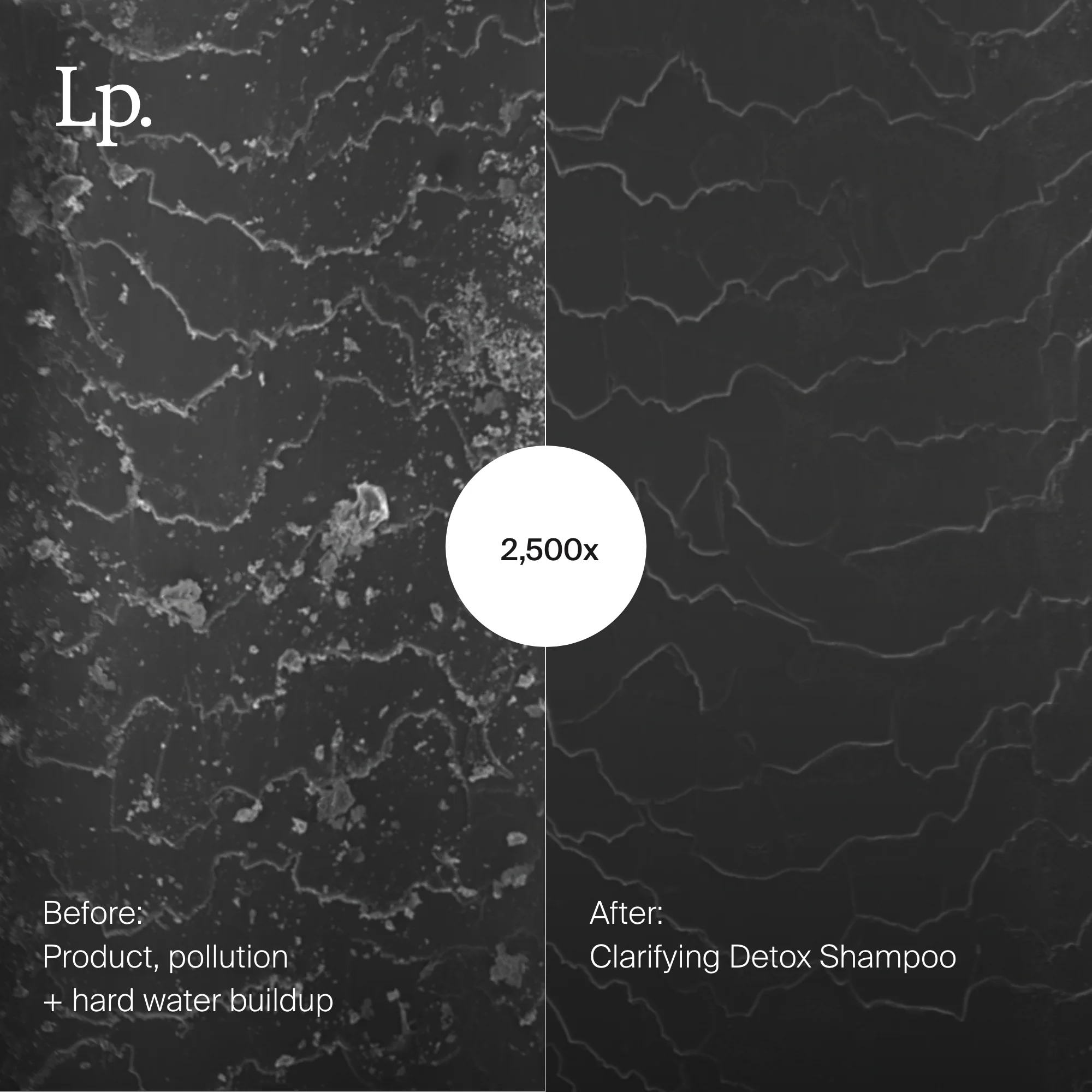 Clarifying Detox Shampoo - Image 4