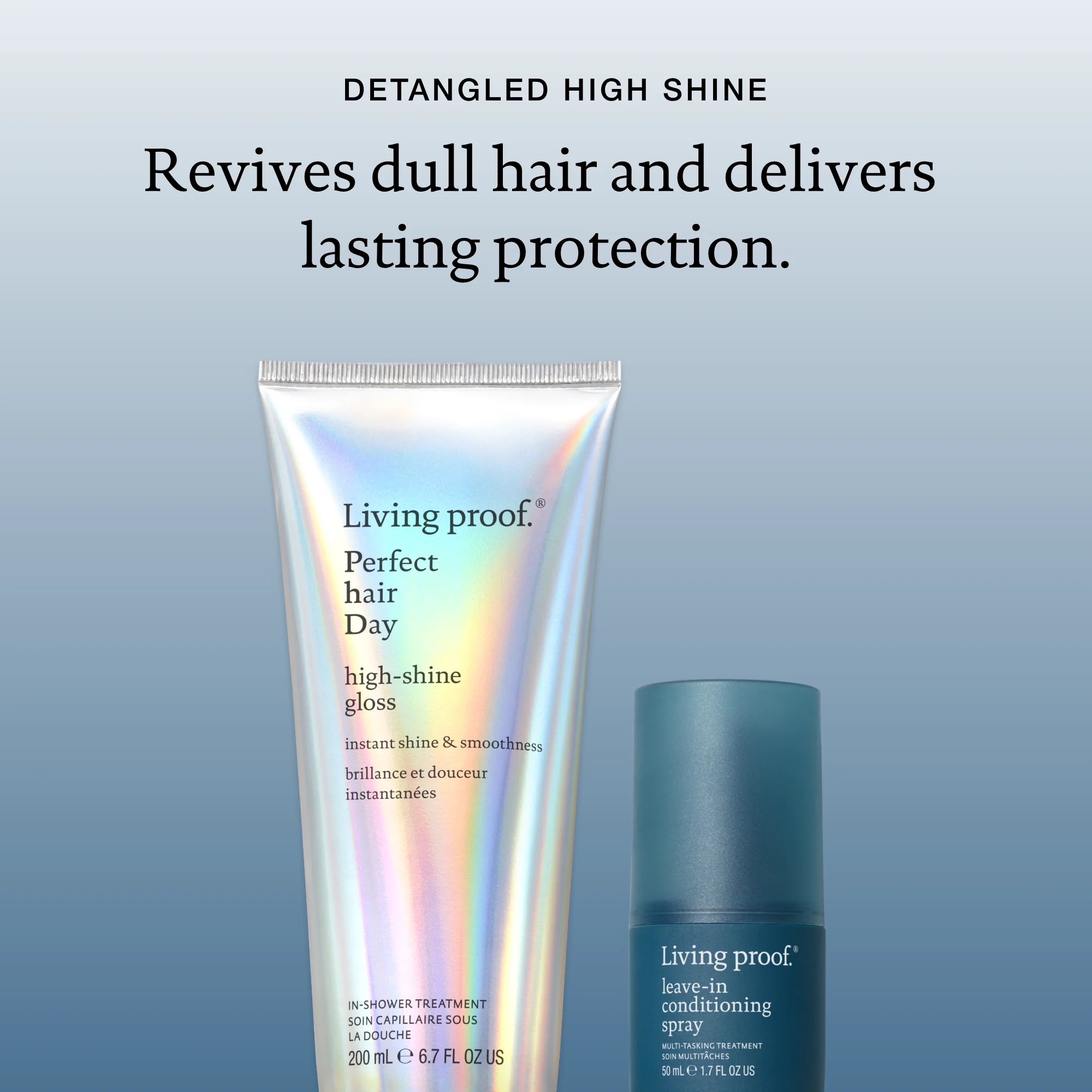 Detangled Shine Holiday Kit - Image 3