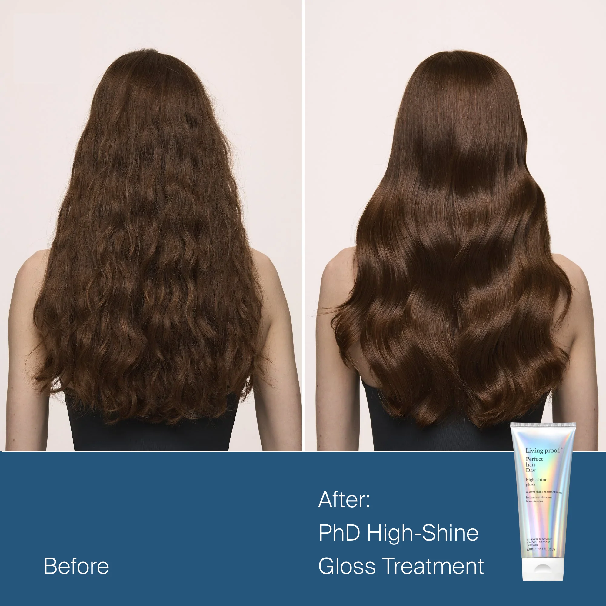 Detangled Shine Holiday Kit - Image 4