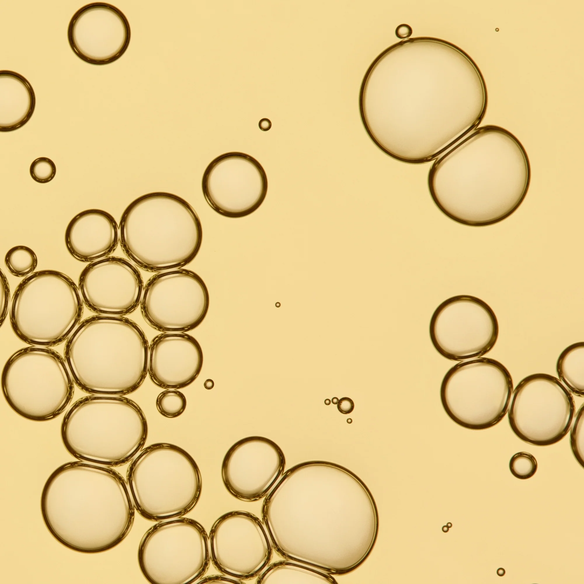 No Frizz Vanishing Oil - Image 3