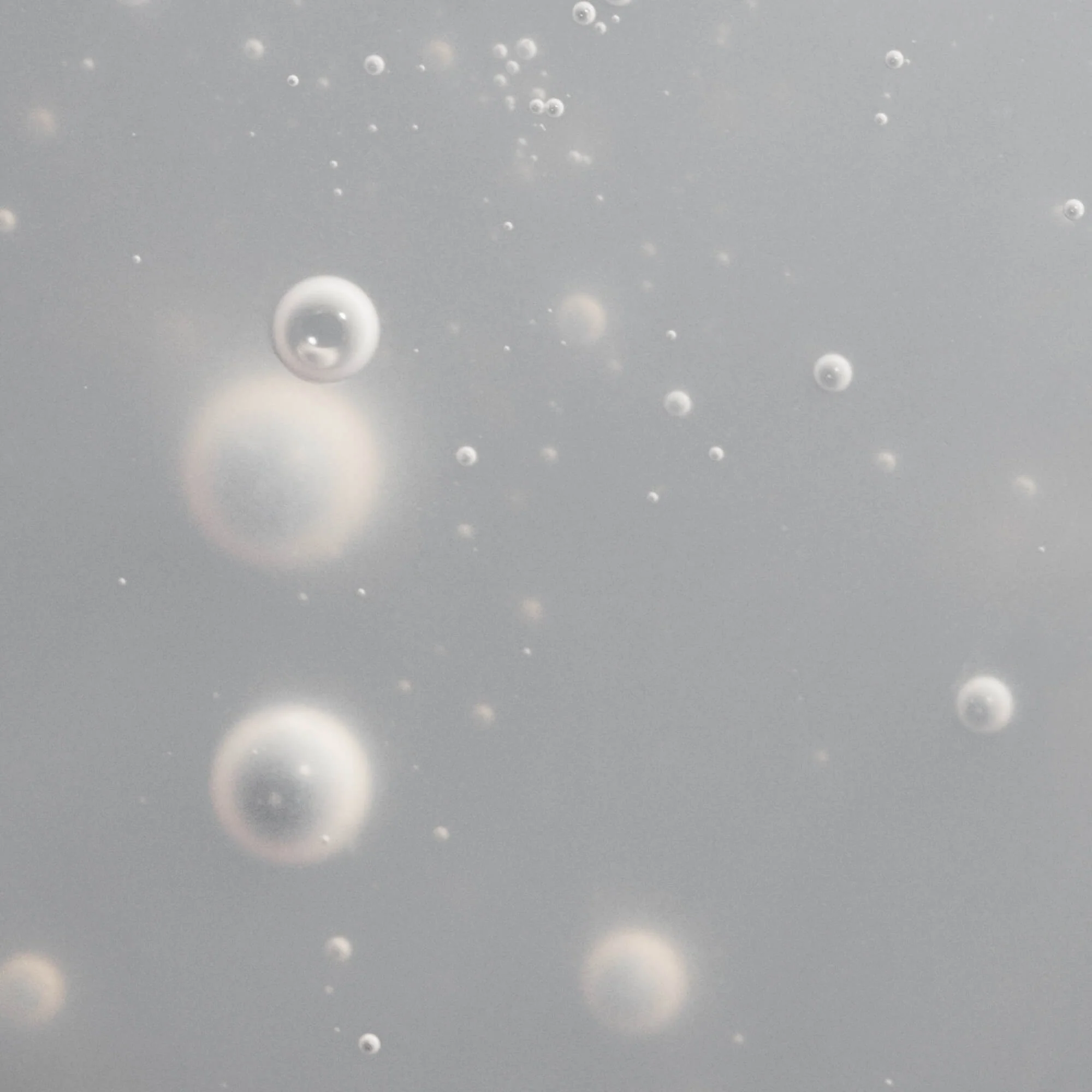 Scalp Care Dry Scalp Treatment - Image 5